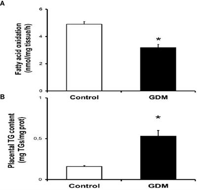 Maternal elevated inflammation impairs placental fatty acids β-oxidation in women with gestational diabetes mellitus